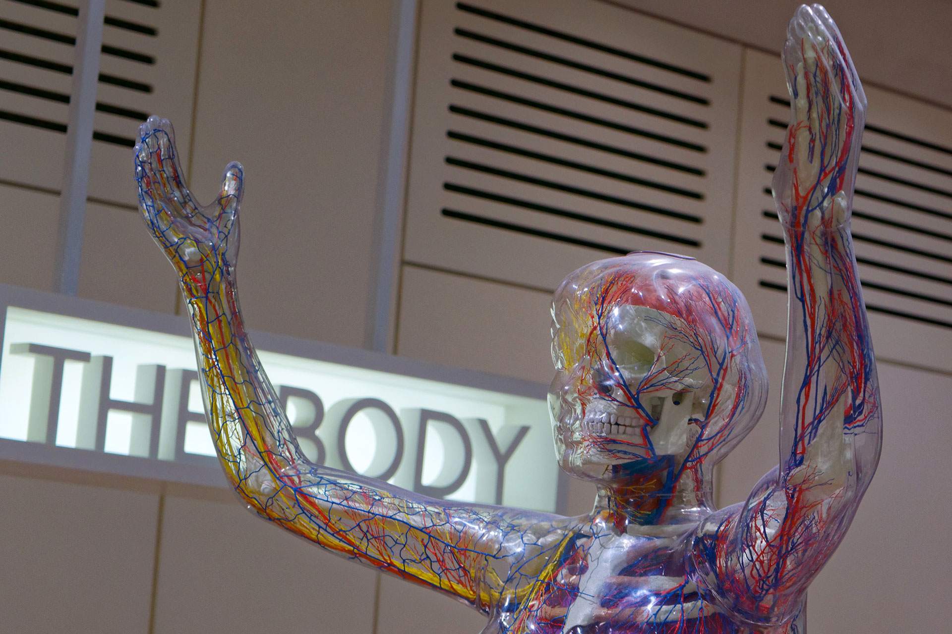 7-Strange-Things-Stress-Can-Do-To-your-Body