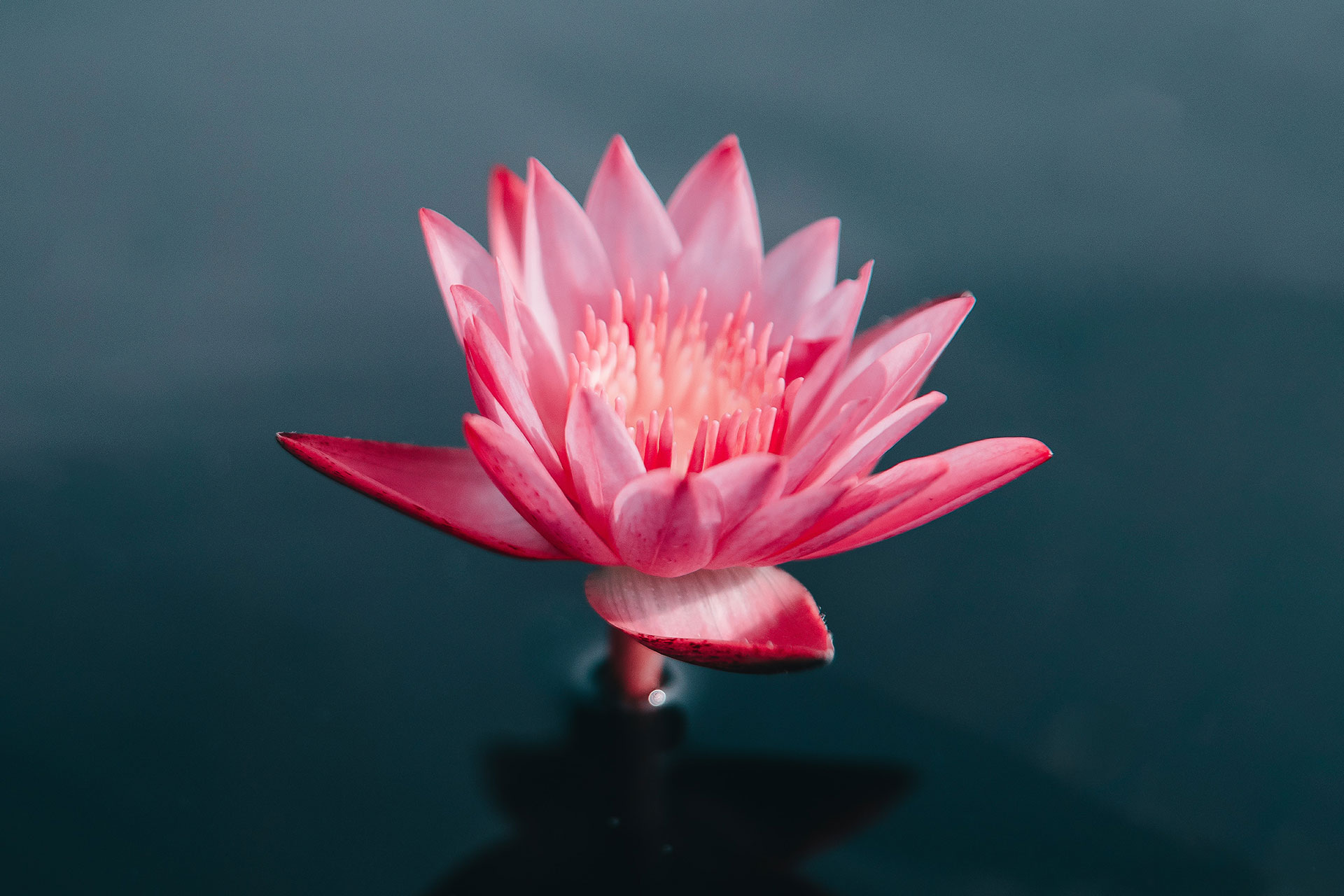 Mindfulness-Based-Stress-Reduction